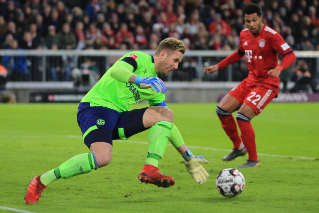 众多忠实的 众多忠实的